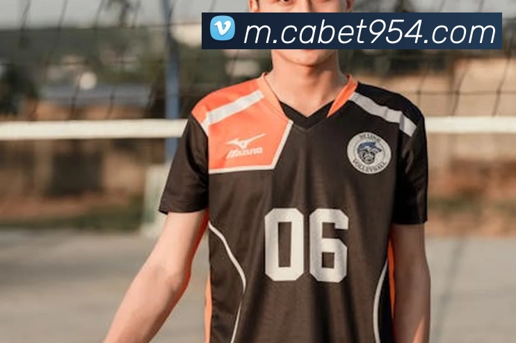 奖项证书